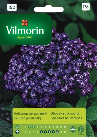 Heliotrop Peruwianski nasiona Vilmorin sklep rajogrodnika